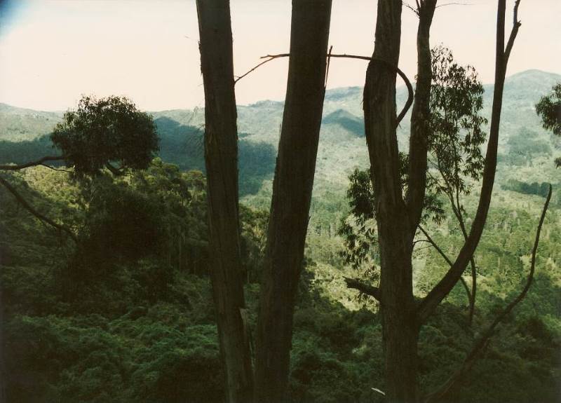 Atop a hill deep inside the Darien Rainforest,
              overlooking the jungle canopy and the journey ahead